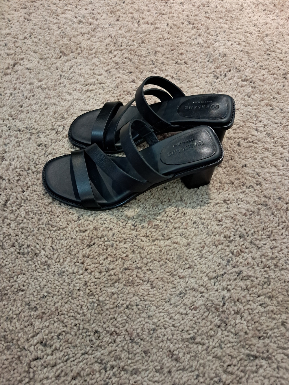 Everlane Black Strappy Mid Block Heel Sandal